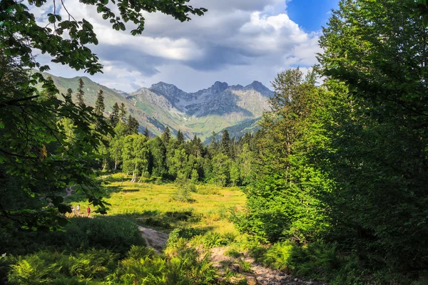 Los prados alpinos en las montañas de Abjasia — Foto de Stock