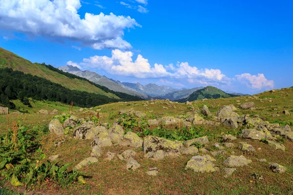Die alpinen Wiesen in den Bergen Abchasiens — Stockfoto