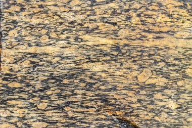 Vahşi bir taş yüzeyi