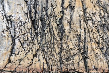 Vahşi bir taş yüzeyi