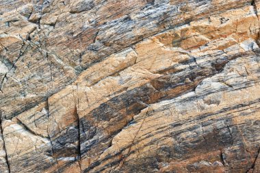 Vahşi bir taş yüzeyi