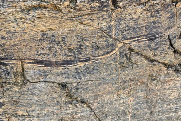 野生の石の表面 — ストック写真