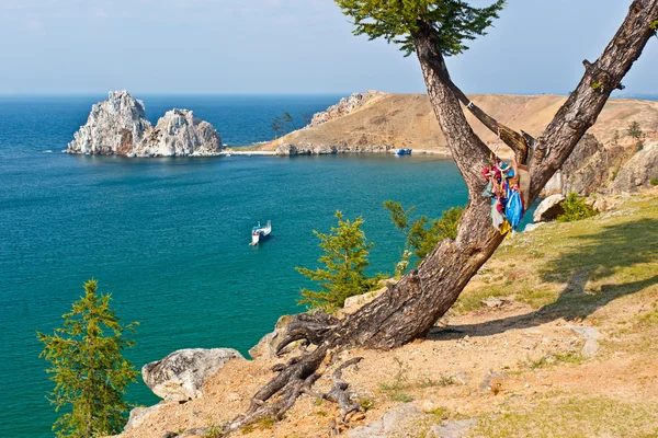 Árbol sagrado en la isla Olkhon — Foto de Stock