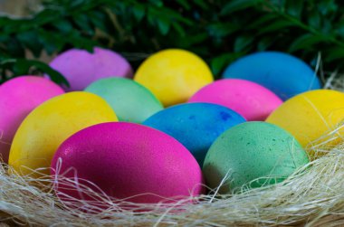 Hasır sepet saman üzerinde renkli Paskalya yumurtaları