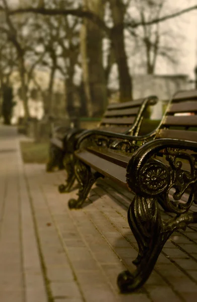 Stylish bench in spring park. Vintage style — Stock Photo, Image