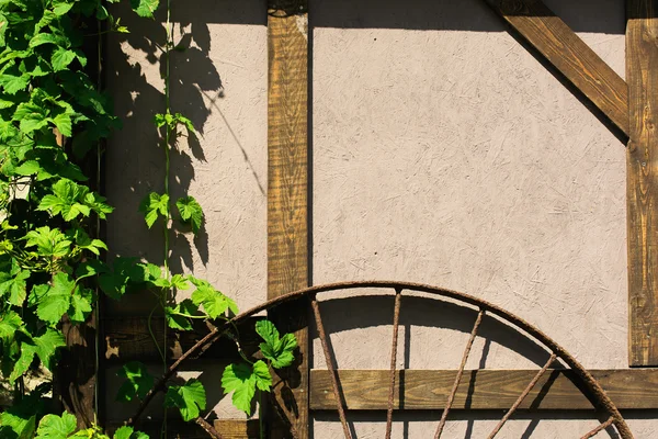 Parede de casa rústica típica com folhagem de uvas e roda de ferro — Fotografia de Stock
