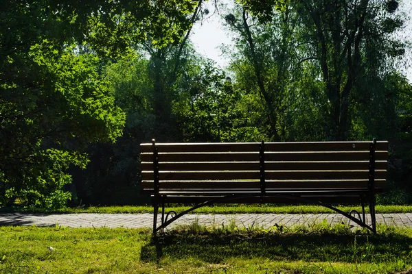 Скамейка в летнем парке утром — стоковое фото