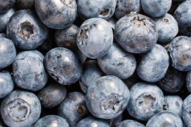 Yaban mersini arka plan. Olgun ve sulu taze yaban mersini closeup aldı