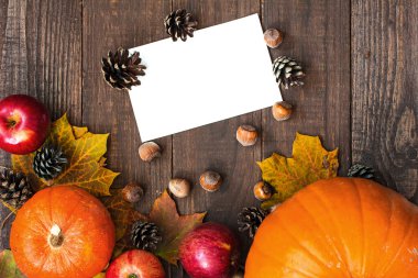 kopya alanı ile sonbahar ya da Şükran Günü tebrik kartı