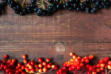 Çilek kartopu ve chokeberry sonbahar parlak arka plan