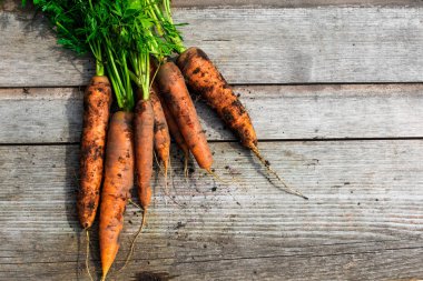 Demet taze hasat havuç yeşil yaprakları ile