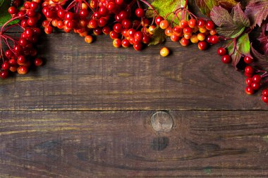 Çilek kartopu ile parlak sonbahar arka plan