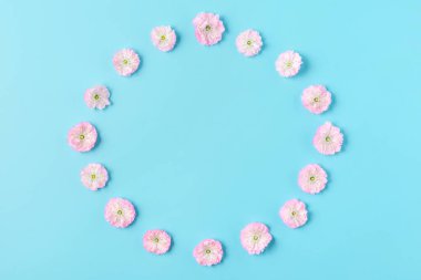 Mavi arka planda pembe kiraz çiçeği deseninden yapılmış çerçeve. Düz yatıyordu. Üst Manzara. Sevgililer Günü geçmişi