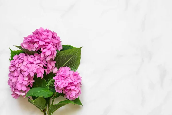 Pink hydrangea flowers bouquet on white background with copy space. top view. flat lay. wedding or holiday concept. festive background