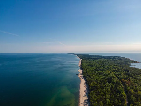 Вид Воздуха Куршскую Косу Песчаным Пляжем Морем Лесом Балтийское Море — стоковое фото