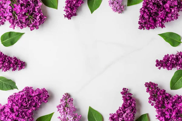 Bloemensamenstelling Frame Gemaakt Van Lente Paarse Lila Bloemen Witte Achtergrond — Stockfoto
