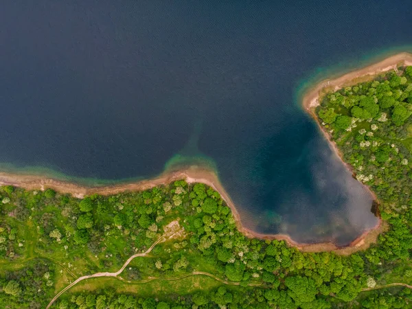 Aerial view of the coast of the lake with forest . top view. shot from drone. Landscape photography