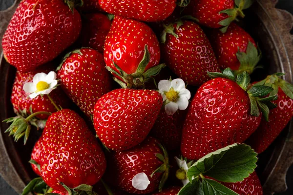 Fresas Orgánicas Frescas Maduras Con Flores Plantas Flor Vista Superior — Foto de Stock