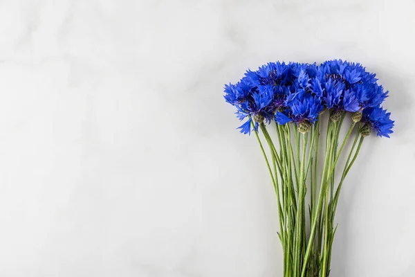 Blauwe Korenbloemen Zomer Wilde Bloemen Boeket Witte Marmeren Achtergrond Bovenaanzicht — Stockfoto