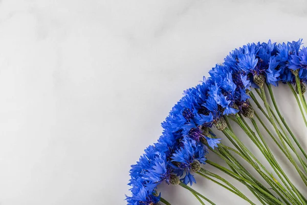 Blauwe Korenbloemen Witte Marmeren Achtergrond Bovenaanzicht Met Kopieerruimte Vlakke Wip — Stockfoto
