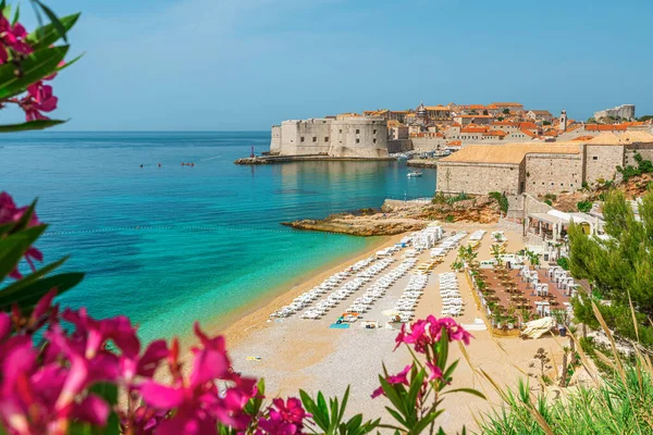 Pemandangan Indah Pantai Banje Dan Kota Tua Dubrovnik Dengan Bunga — Stok Foto