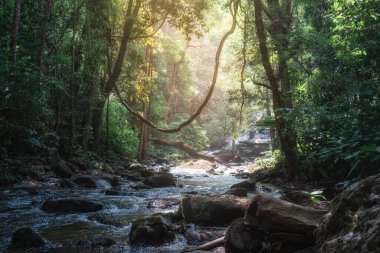 Peaceful forest stream flowing over rocks with waterfall in background and sunlight filtering through dense jungle in Doi Inthanon National Park, Chiang Mai, Thailand. Ecotourism, wilderness