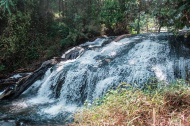 Doi Inthanon Ulusal Parkı, Chiang Mai, Tayland 'daki yemyeşil yemyeşil kayaların üzerinde çağlayan doğal şelale. Ekoloji, vahşi doğa keşfi ve ekolojik seyahat.
