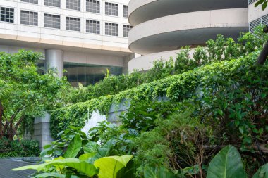 Lush green garden with tropical plants surrounded by modern architecture in Bangkok city, Thailand. Eco-friendly urban living, green architecture, sustainability and greenery.