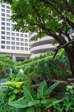 Lush green urban garden surrounded by modern architecture in Bangkok city, Thailand. Eco-friendly urban living, green architecture, sustainability and greenery. Vertical orientation.