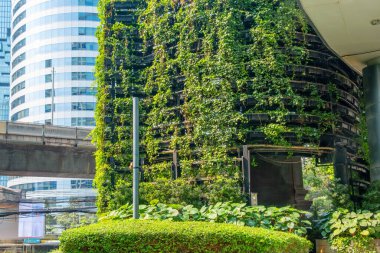 Dikey yeşil duvarı ve Tayland 'daki Bangkok şehrinde cam gökdelen cephesi olan modern şehir binası. Yeşil kentsel yaşam ve biyofilik mimari. Dikey bahçe. Çevre dostu ve sürdürülebilir şehir.