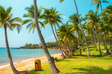 Tropik kumlu sahil palmiye ağaçları, yeşil çimenler ve güneşli gökyüzü altında sakin mavi deniz Phu Quoc Adası, Vietnam. Tatil, özgürlük, sağlık, cennet yaşam tarzı ve Asya 'da seyahat.