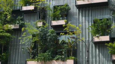 Balkonda büyüyen yeşil bitkilerle birlikte bina cephesi. Malezya 'nın Kuala Lumpur şehrinde dikey bahçe. Sürdürülebilir modern ve ekolojik mimari.