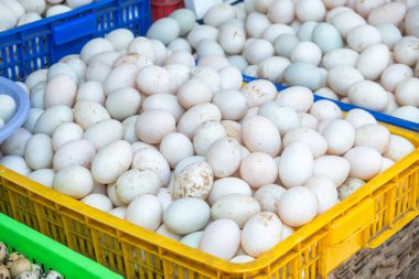 Geleneksel Vietnam pazarında plastik sepette sergilenen taze tavuk ve ördek yumurtaları. Phu Quoc Adası, Vietnam 'daki yerel gıda pazarı. Organik üretim, aşçılık geleneği.