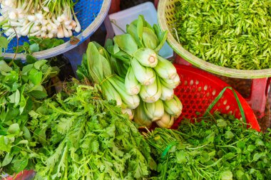 Taze yeşil sebzeler ve sebzeler, Çin lahanası, taze soğan ve sebzeler geleneksel Vietnam pazarında renkli sepetlerde sergileniyor. Phu Quoc adasındaki gıda pazarı, Vietnam. Yerel