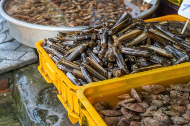 Fresh seafood on display at traditional Vietnamese seafood market. Razor clams, shellfish, conch shells and sea snails at food market in Phu Quoc, Vietnam. Sustainability, traditional fishing culture
