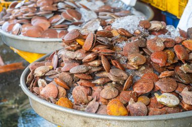 Fresh scallops and clams on ice displayed at traditional Vietnamese seafood market. Shellfish on display at food market in Phu Quoc, Vietnam. Sustainability, traditional fishing culture and fresh