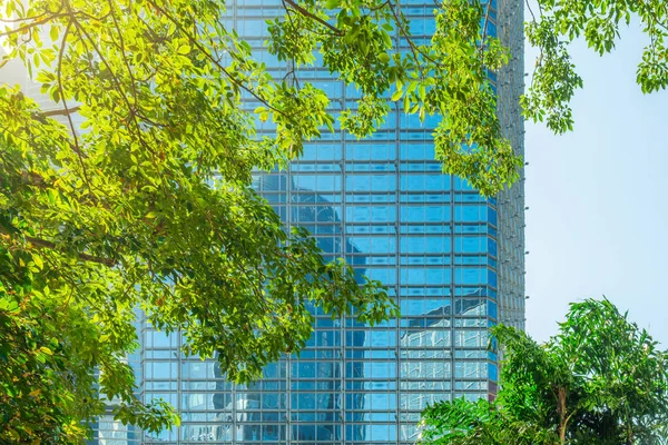 Cam ofis ön cephesi, Çin 'in Hong Kong şehrindeki yeşil ağaçların çerçevelediği yakındaki kuleleri yansıtıyor. Yeşil şehir, modern ticaret bölgesi, kurumsal mimari, Asya 'da sürdürülebilir şehir tasarımı.