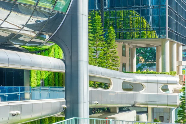 Çin 'in Hong Kong şehrinde yeşillik ve modern cam ofis binalarıyla çevrili gelecekteki yaya köprüsü. Akıllı şehir altyapısı, gelecekteki kentsel hareketlilik, yenilik, sürdürülebilirlik.