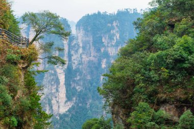 Zhangjiajie Ulusal Orman Parkı manzaralı kumtaşı uçurumları ve Çin 'in Hunan bölgesindeki derin orman geçidi. Asya 'da seyahat ve turizm simgesi.