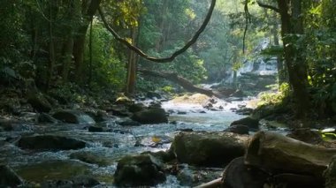 Peaceful forest stream flowing over rocks with waterfall in background and sunlight filtering through dense jungle in Doi Inthanon National Park, Chiang Mai, Thailand. Ecotourism, wilderness