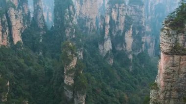 Puslu kumtaşı sütunları orman dağları ve derin vadi manzarasının üzerinde yükseliyor. Zhangjiajie Ulusal Orman Parkı, Hunan, Çin. Asya 'da seyahat ve turizm simgesi.