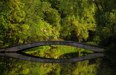 Bir su birikintisi bir parkta romantik eski taş köprüden