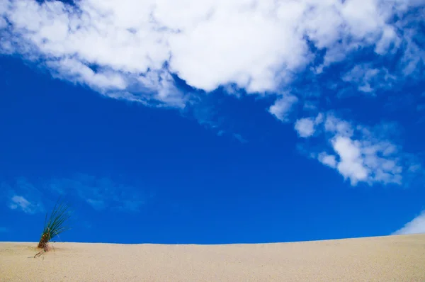 Dunas de arena sobre un fondo de cielo azul. horizontal —  Fotos de Stock