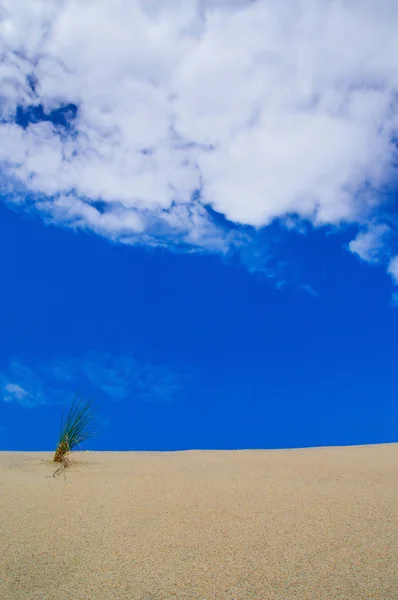 Dunas de arena sobre un fondo de cielo azul. vertical —  Fotos de Stock