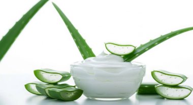 Aloe vera cream in a bowl with aloe vera leaves and slices isolated on white background. It is used for skincare, beauty, and cosmetic products. Natural and healthy.
