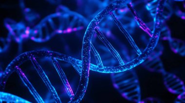 Soyut bir 3D görüntüleme, arka planda birden fazla parlayan DNA çift sarmal yapısını gösterir. Sarmallar parlak bir ışık efektiyle parlak mavi ve mor tonlarda aydınlatılıyor. Karmaşık, sarmalanmış iplikler bir sen yaratır.