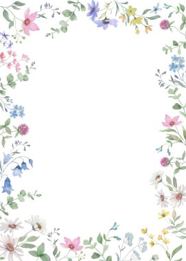 Çiçekli suluboya çerçeveli kır çiçekleri. Botanik sınırı. El çizimi çizimi. Vektör EPS.