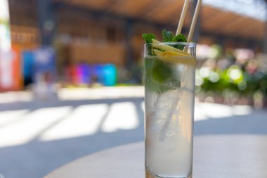 Bardakta narenciye ve naneli kokteyl..