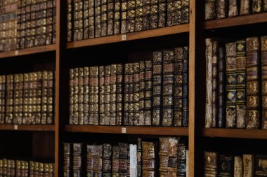 Tarihi bir kütüphane ortamında ahşap raflarda karmaşık detaylarla dolu klasik deri kaplı kitaplar..