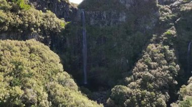 Yoğun yeşil ormanın ortasında güzel bir şelale antresi.